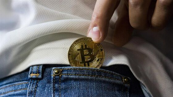 Stablecoins: el puente entre el dinero tradicional y el ecosistema cripto