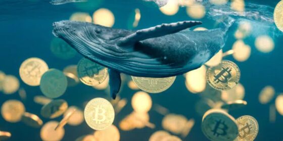 Bitcoin sufre la mayor liquidación de ballenas desde 2022