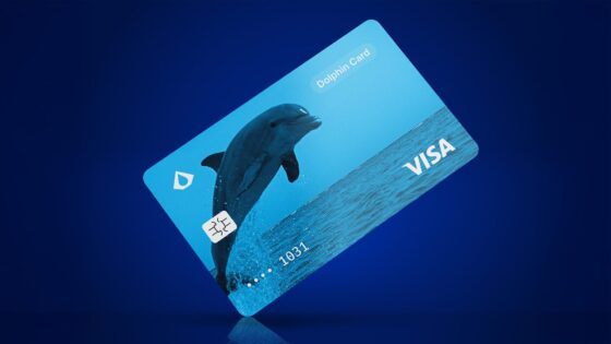 Probamos Dolphin Card, tarjeta recargable con bitcoin y USDT